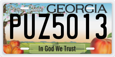 GA license plate PUZ5013