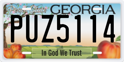 GA license plate PUZ5114