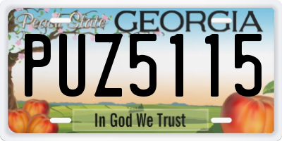 GA license plate PUZ5115