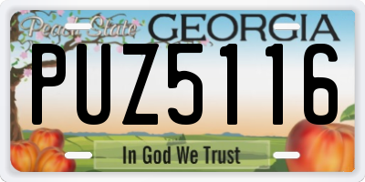 GA license plate PUZ5116