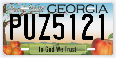 GA license plate PUZ5121