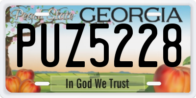 GA license plate PUZ5228