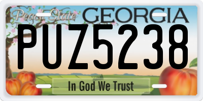 GA license plate PUZ5238