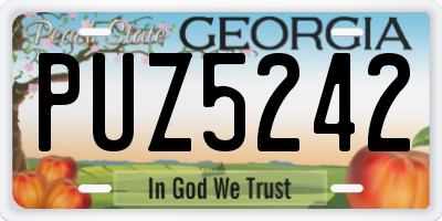 GA license plate PUZ5242