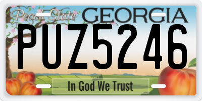 GA license plate PUZ5246