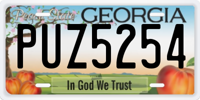 GA license plate PUZ5254