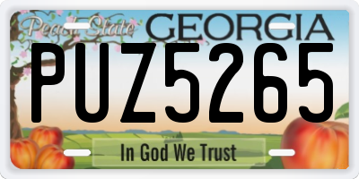 GA license plate PUZ5265