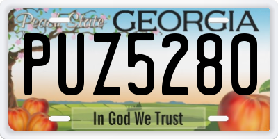 GA license plate PUZ5280