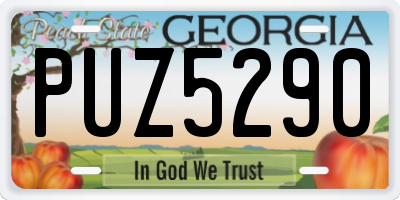 GA license plate PUZ5290
