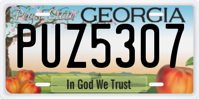 GA license plate PUZ5307