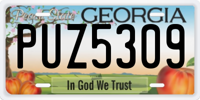 GA license plate PUZ5309