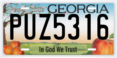 GA license plate PUZ5316