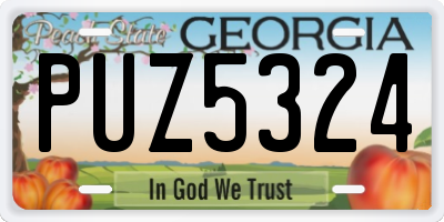 GA license plate PUZ5324