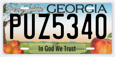 GA license plate PUZ5340