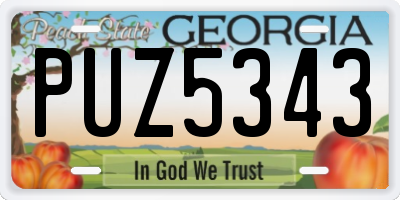 GA license plate PUZ5343