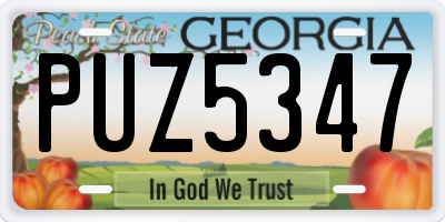 GA license plate PUZ5347
