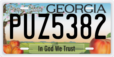 GA license plate PUZ5382