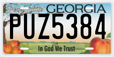 GA license plate PUZ5384