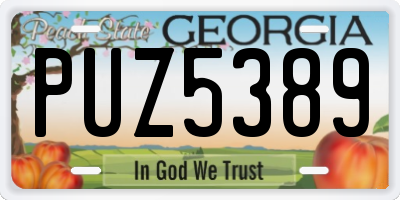 GA license plate PUZ5389