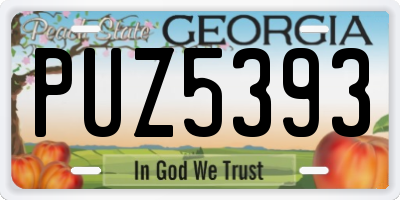 GA license plate PUZ5393