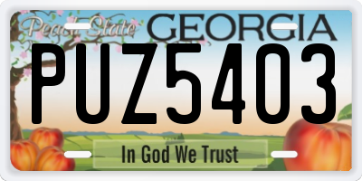 GA license plate PUZ5403