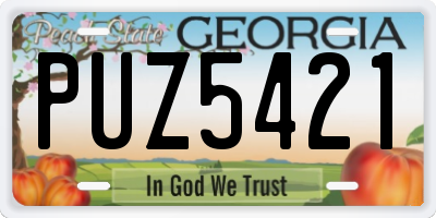 GA license plate PUZ5421