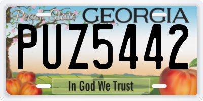 GA license plate PUZ5442