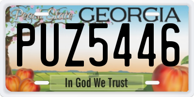 GA license plate PUZ5446