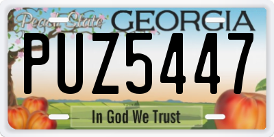 GA license plate PUZ5447
