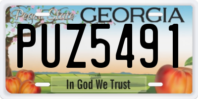 GA license plate PUZ5491