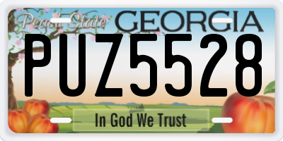 GA license plate PUZ5528