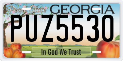 GA license plate PUZ5530