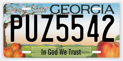 GA license plate PUZ5542