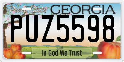 GA license plate PUZ5598