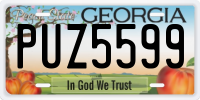 GA license plate PUZ5599