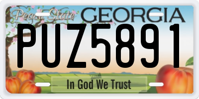 GA license plate PUZ5891