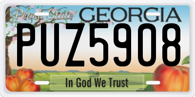 GA license plate PUZ5908