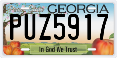 GA license plate PUZ5917