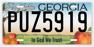 GA license plate PUZ5919