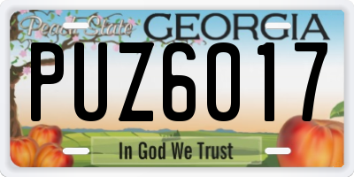 GA license plate PUZ6017