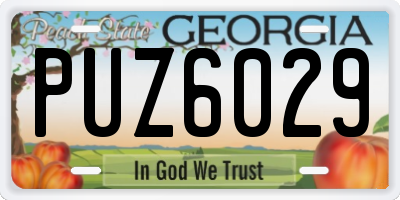 GA license plate PUZ6029