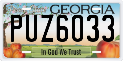 GA license plate PUZ6033
