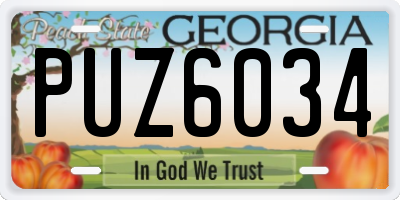 GA license plate PUZ6034