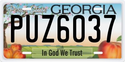 GA license plate PUZ6037