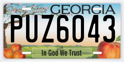 GA license plate PUZ6043