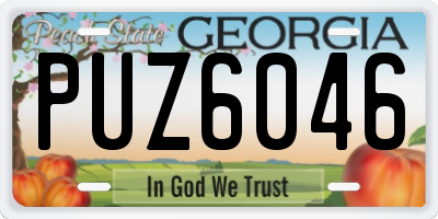 GA license plate PUZ6046