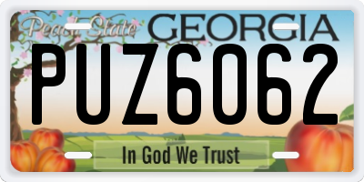 GA license plate PUZ6062