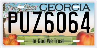 GA license plate PUZ6064