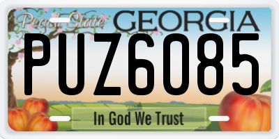 GA license plate PUZ6085