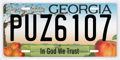 GA license plate PUZ6107